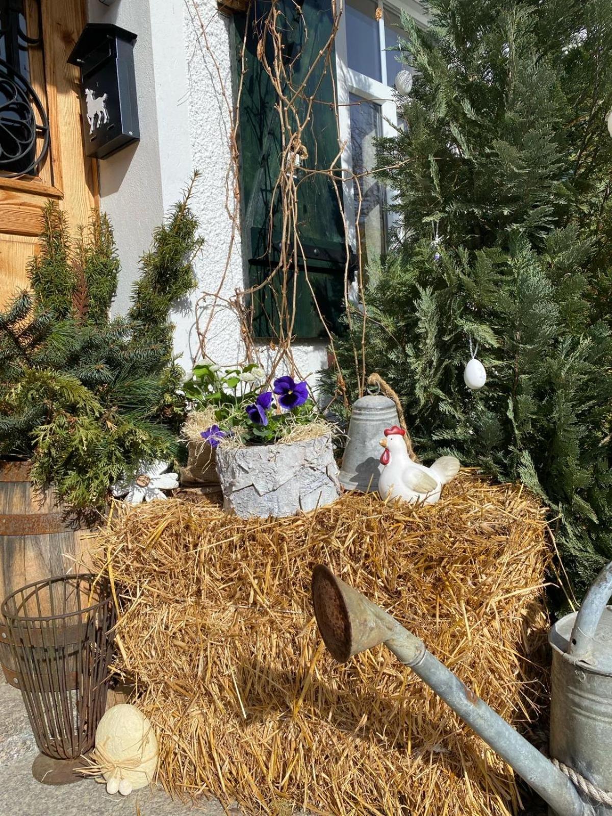 Apartamenty Sudeckie Nad Zalewem II Sosnówka Esterno foto
